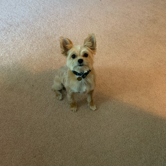 Meet your Posher, Marissa - Picture 2 of 2